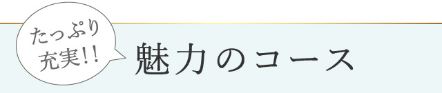 サロンドノエル エステ サブスク 通い放題